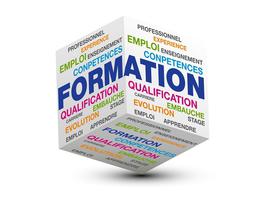 FORMATIONS
